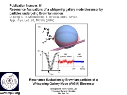 Whispering Gallery Mode Biosensor 009.JPG